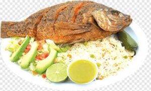 Rice-Fish